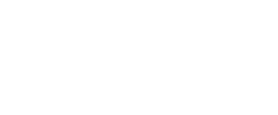 Blackjack Brewing Co